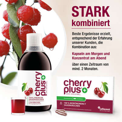 Montmorency-Sauerkirsch Kapseln – hochdosierter Extrakt – 55.000 mg pro Tagesdosis, A-Nr.: 4753914 - 04