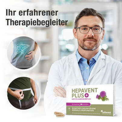 Cholin Kapseln – Mariendistel Artischocke Löwenzahn – hoch bioverfügbar – mit Cholin zur Erhaltung der Leberfunktion, A-Nr.: 5895711 - 02