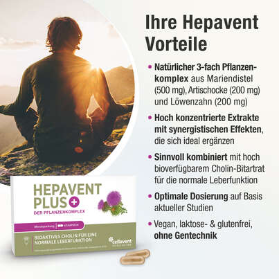 Cholin Kapseln – Mariendistel Artischocke Löwenzahn – hoch bioverfügbar – mit Cholin zur Erhaltung der Leberfunktion, A-Nr.: 5895711 - 03