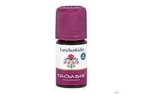 Aetherische Oele Taoasis Bio Latschenkiefer 5ml, A-Nr.: 4372603 - 01