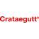Crataegutt® Flüssigkeit zum Einnehmen, A-Nr.: 4210295 - 05