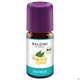 Taoasis Baldini Bio-aroma Ingweröl Bio 5ml, A-Nr.: 4053401 - 01