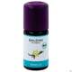 Taoasis Baldini Bioaroma Vanille Extrakt 5ml, A-Nr.: 4621259 - 01