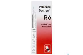 Reckeweg Gastreu Tropfen Influenza R6 50ml, A-Nr.: 1294860 - 01