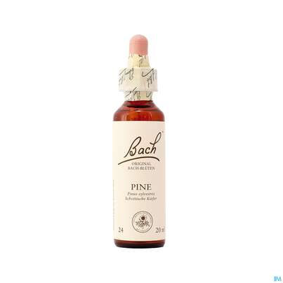 24 Pine20 ml, A-Nr.: 4088902 - 01