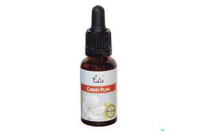 Edis Bio 06 Cherry Plum 20ml, A-Nr.: 4107953 - 01