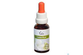 Edis Bio 06 Cherry Plum Alkoholfrei 20ml, A-Nr.: 4107522 - 01