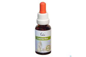 Edis Bio 07 Chestnut Bud Alkoholfrei 20ml, A-Nr.: 4107539 - 01