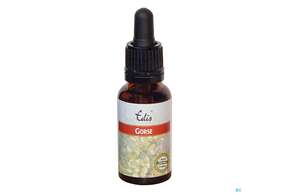 Edis Bio 13 Gorse 20ml, A-Nr.: 4108042 - 01