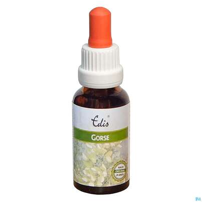 Edis Bio 13 Gorse Alkoholfrei 20ml, A-Nr.: 4107597 - 01