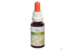 Edis Bio 21 Mustard Alkoholfrei 20ml, A-Nr.: 4107686 - 01