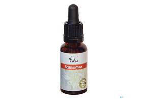 Edis Bio 28 Scleranthus 20ml, A-Nr.: 4108208 - 01