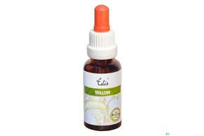 Edis Bio 38 Willow Alkoholfrei 20ml, A-Nr.: 4107864 - 01