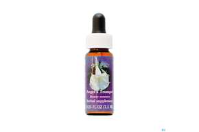 Fes Angel&amp;#039;s Trumpet 7,5ml, A-Nr.: 2153162 - 01