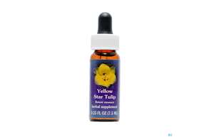 Fes Yellow Star Tulip 7,5ml, A-Nr.: 2155273 - 01