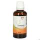 Gall Pharma Sternanisöl Embamed, A-Nr.: 5237563 - 02