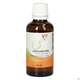 Gall Pharma Zirbelkieferöl Embamed, A-Nr.: 5420540 - 02