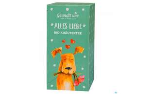 Gewusst Wie Bio Tee Alles Liebe 20st, A-Nr.: 5385855 - 01