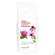 Gewusst Wie Tee Cistus Echinacea 80g, A-Nr.: 5385861 - 01
