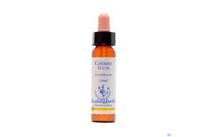 Healing Herbs 06 Cherry Plum 10ml, A-Nr.: 2186032 - 01