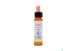 Healing Herbs 13 Gorse10 ml, A-Nr.: 2186173 - 01