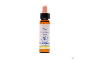 Healing Herbs 24 Pine 10ml, A-Nr.: 2186428 - 01