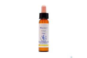 Healing Herbs 33 Walnut 10ml, A-Nr.: 2186629 - 01