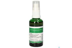 Pater Severin Alantwurzel Spray, A-Nr.: 4854897 - 01