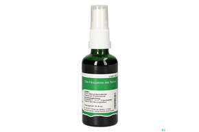 Pater Severin Ampfer Spray, A-Nr.: 4566477 - 01