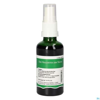 Pater Severin Ampfer Spray, A-Nr.: 4566477 - 04