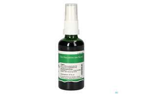 Pater Severin Angelikawurzel Spray, A-Nr.: 4443384 - 01