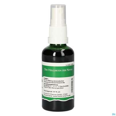 Pater Severin Berberitzen Spray, A-Nr.: 4443533 - 01