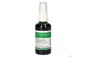 Pater Severin Berberitzen Spray, A-Nr.: 4443533 - 01