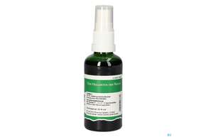 Pater Severin Chinarinden Comp. Spray, A-Nr.: 4799980 - 01