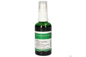 Pater Severin Crataegus Spray, A-Nr.: 4601423 - 01