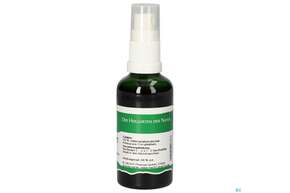 Pater Severin Curryblatt Spray, A-Nr.: 4932723 - 01