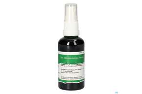 Pater Severin Darjeeling Spray, A-Nr.: 5340025 - 01