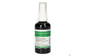 Pater Severin Dioscorea Spray, A-Nr.: 4484153 - 01