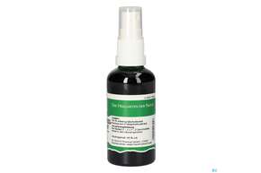 Pater Severin Erdstachelnusskraut Spray, A-Nr.: 4878171 - 01