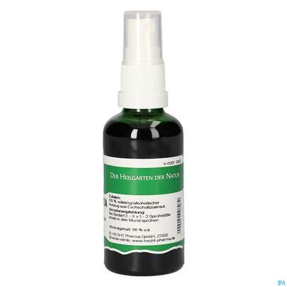 Pater Severin Eschscholtzia Spray, A-Nr.: 4878202 - 04