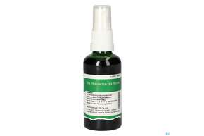 Pater Severin Ginkgo Spray, A-Nr.: 5303610 - 01