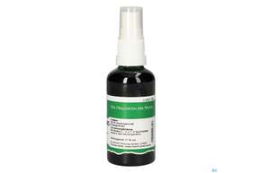 Pater Severin Ginsengextrakt Spray, A-Nr.: 4443958 - 01