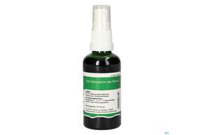 Pater Severin Goldmohn Spray, A-Nr.: 4878538 - 01