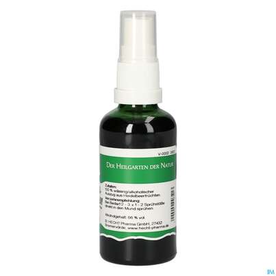 Pater Severin Heidelbeerfrüchte Spray, A-Nr.: 4444076 - 01