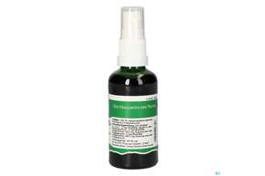 Pater Severin Indigowurzel Spray, A-Nr.: 4566282 - 01