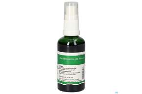 Pater Severin Johanniskraut Spray, A-Nr.: 4444202 - 01