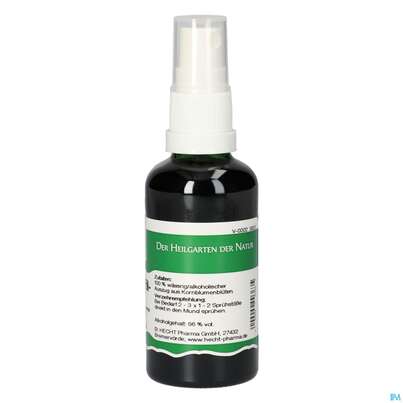 Pater Severin Kornblumen Spray, A-Nr.: 4444314 - 01