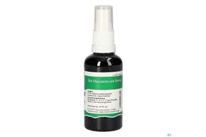 Pater Severin Lapachorinde Spray, A-Nr.: 5471224 - 01