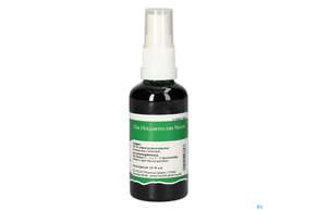 Pater Severin Leinkraut Spray, A-Nr.: 4444389 - 01