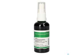 Pater Severin Mariendistel Spray, A-Nr.: 4444521 - 01